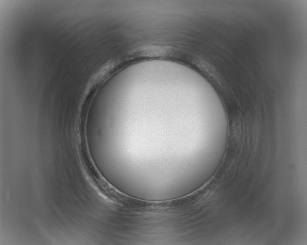 X0000062890682200601131017