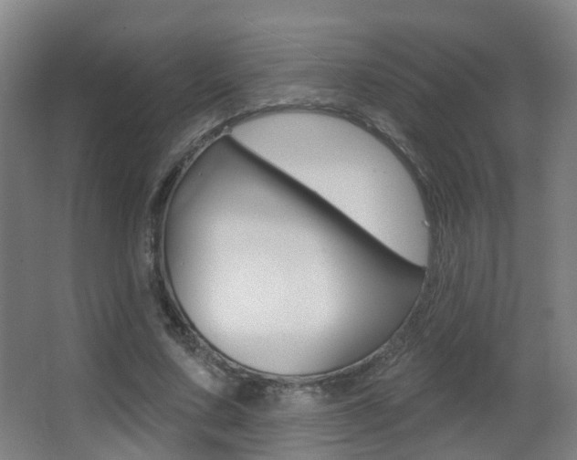 X0000062890683200601131017