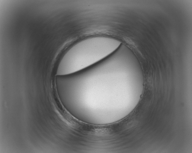 X0000062890686200601131017