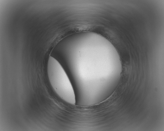 X0000062890691200601131017