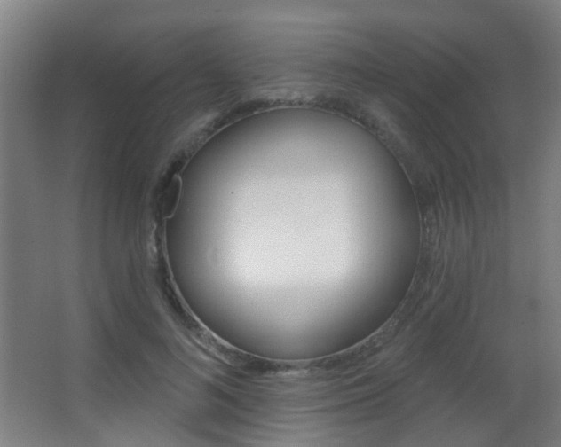 X0000062890692200601131017