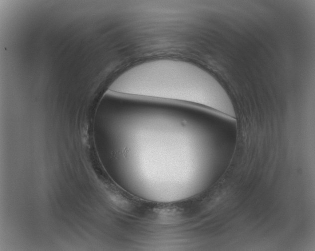 X0000062890693200601131017