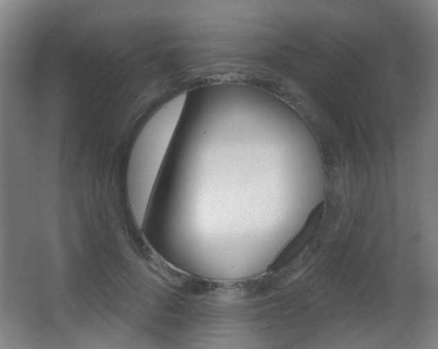 X0000062890696200601131017