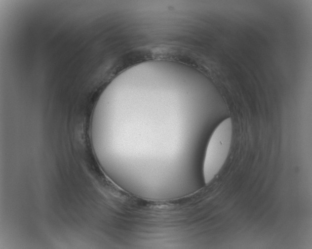 X0000062890698200601131017