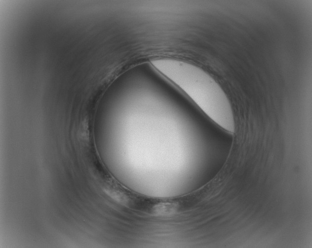 X0000062890700200601131017