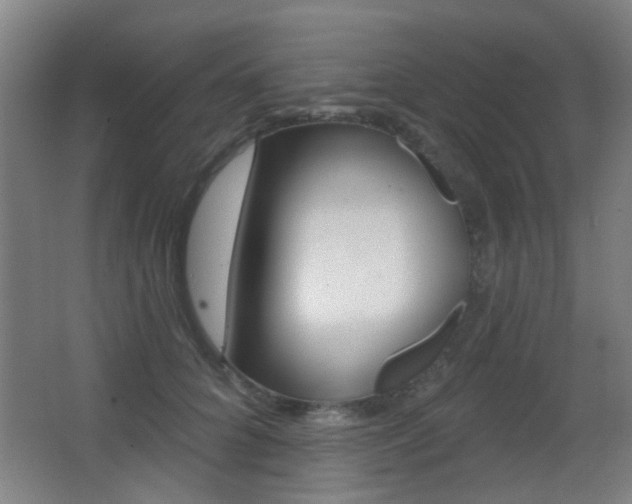X0000062890704200601131017