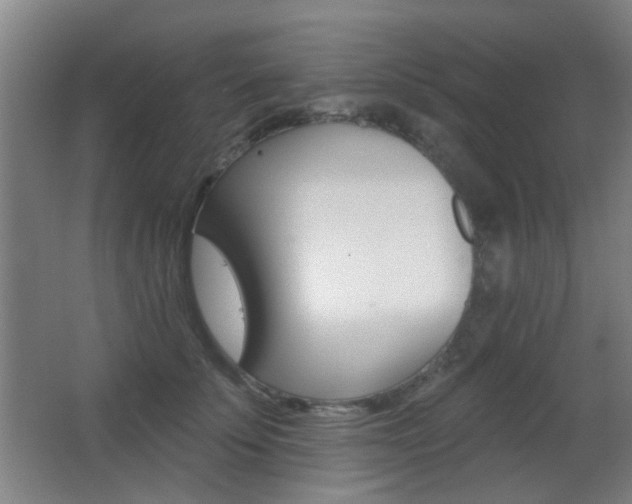 X0000062890707200601131017