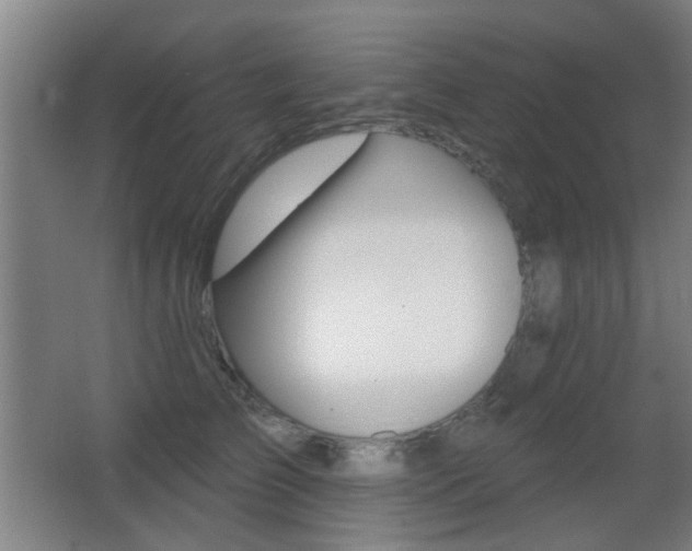 X0000062890709200601131017