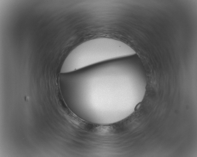 X0000062890711200601131017