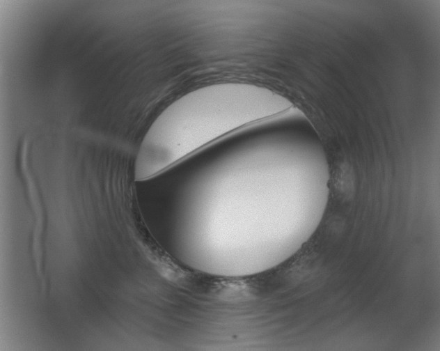 X0000062890715200601131017