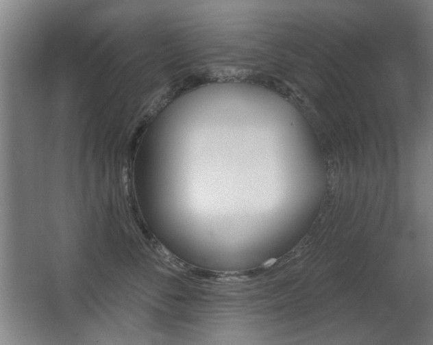 X0000062890716200601131017