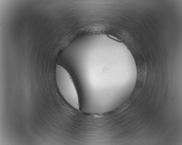 X0000062890718200601131017