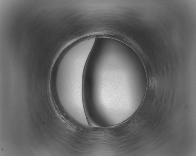 X0000062890724200601131016