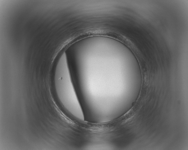 X0000062890725200601131016