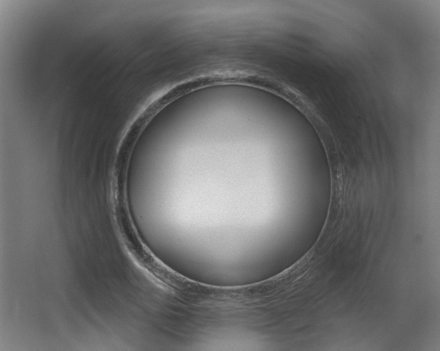 X0000062890726200601131016