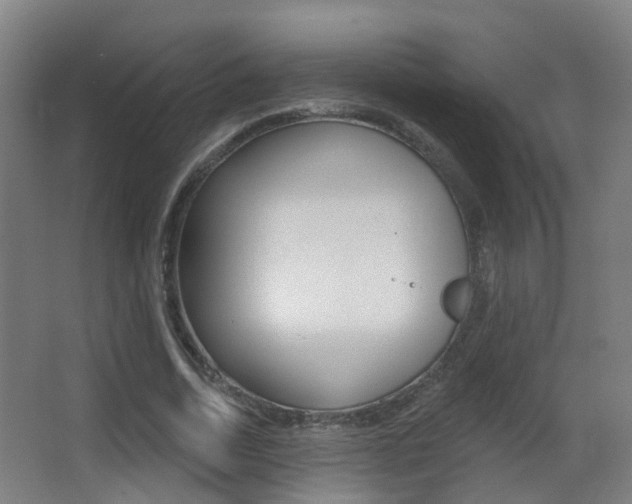 X0000062890730200601131016