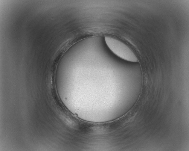 X0000062890733200601131016
