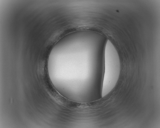 X0000062890742200601131016