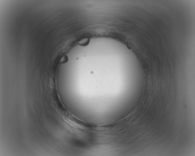 X0000062890746200601131016