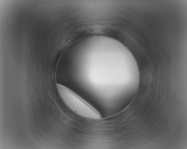 X0000062890747200601131016