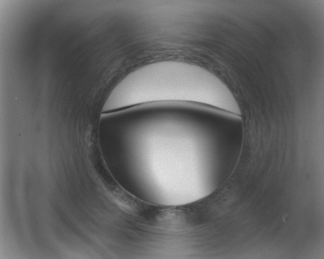 X0000062890750200601131016
