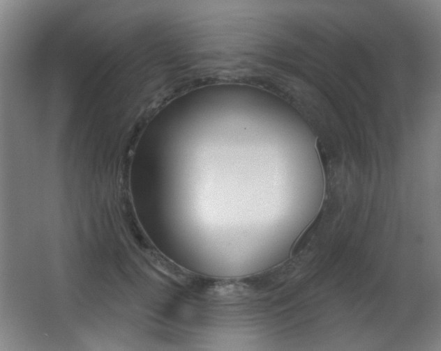 X0000062890752200601131016
