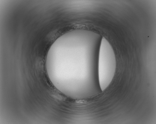 X0000062890753200601131016