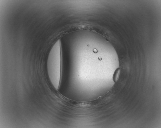 X0000062890754200601131016