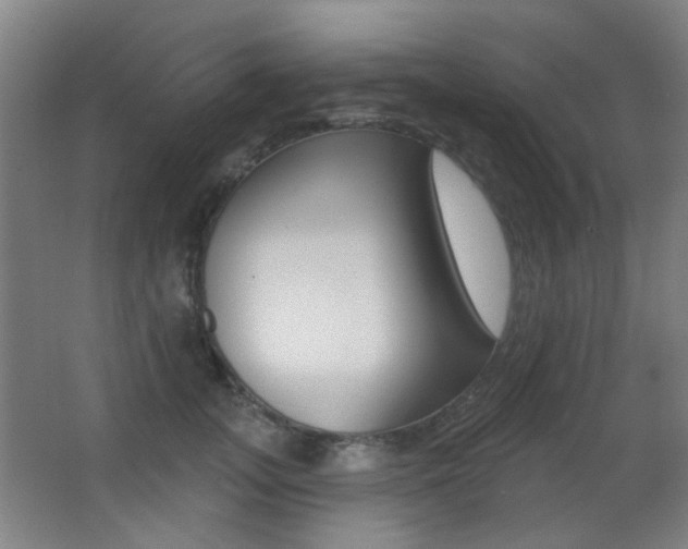 X0000062890755200601131016