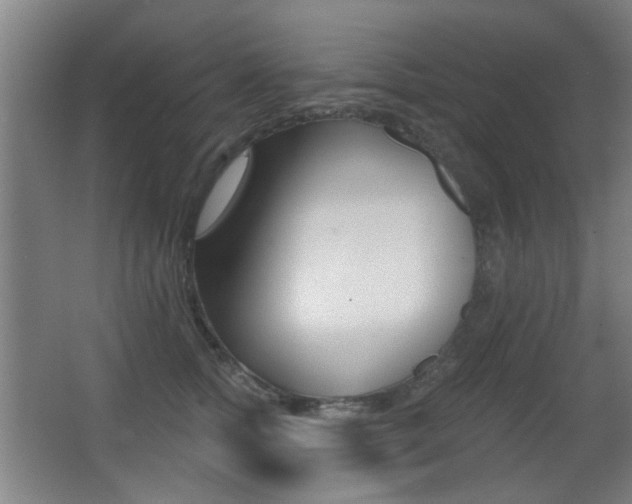 X0000062890758200601131016