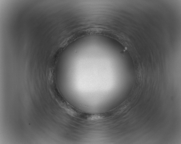 X0000062890759200601131016
