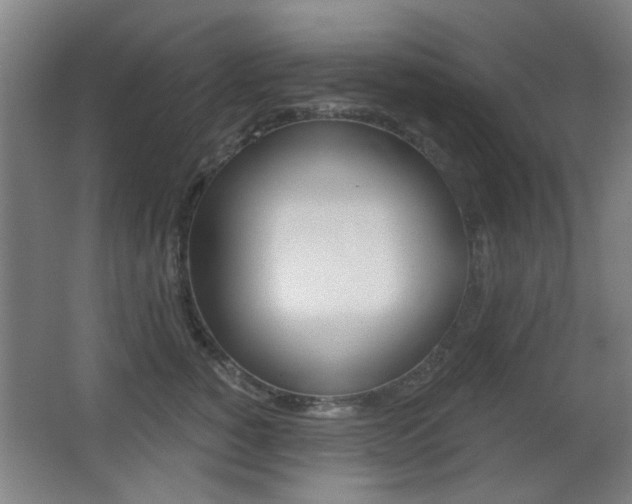 X0000062890760200601131016