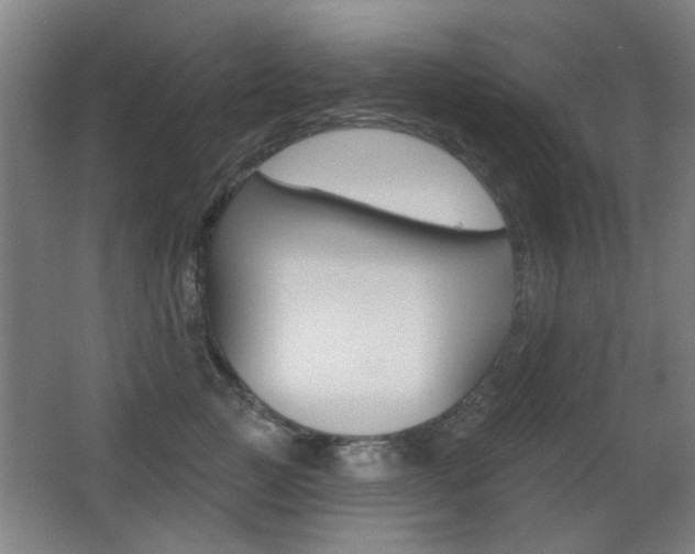 X0000062890761200601131016