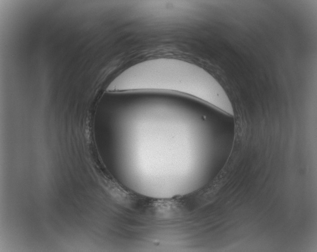X0000062890762200601131017