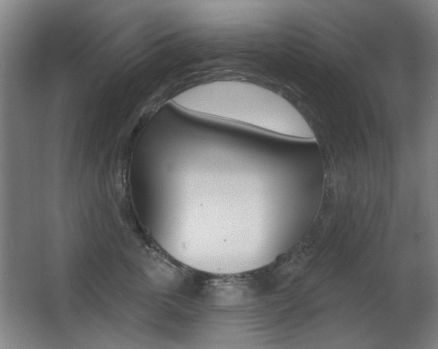 X0000062890763200601131017