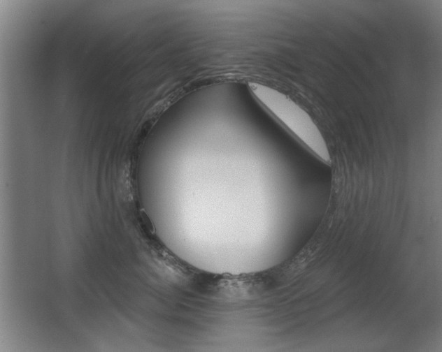 X0000062890764200601131017