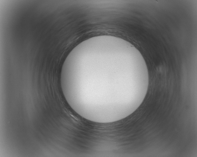 X0000062890766200601131017
