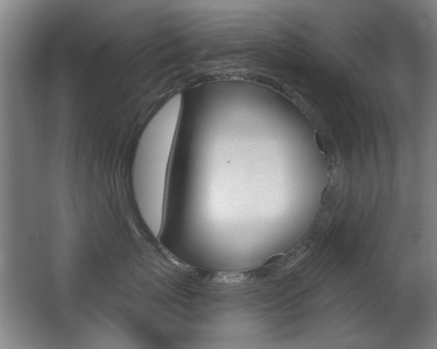 X0000062890767200601131017