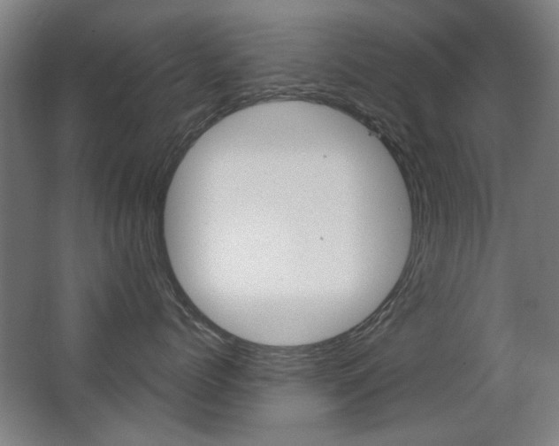 X0000062890768200601131017