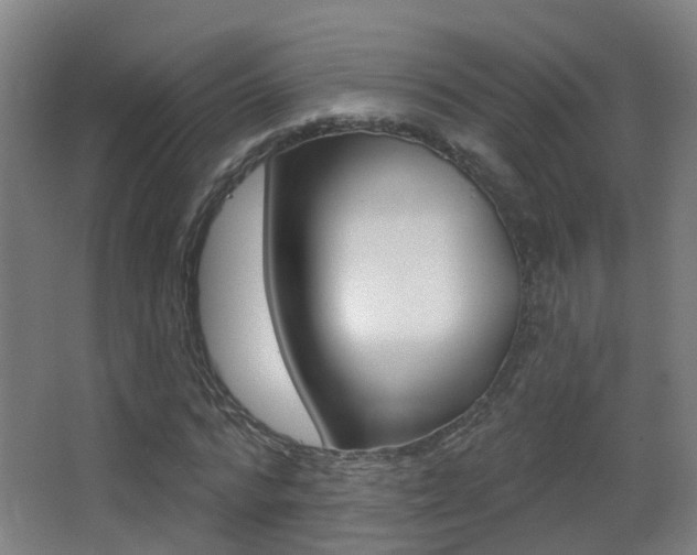 X0000062890776200601131016