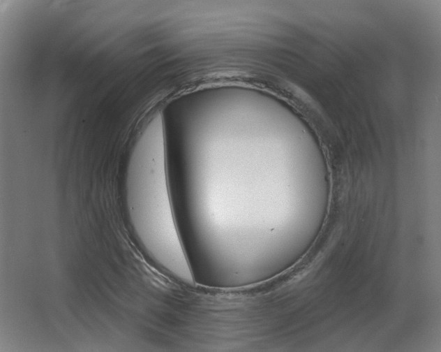 X0000062890777200601131016