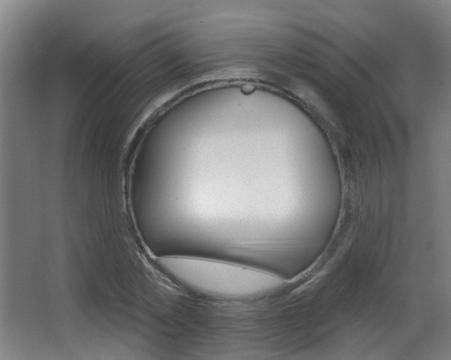 X0000062890781200601131016