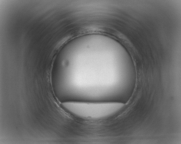 X0000062890785200601131016