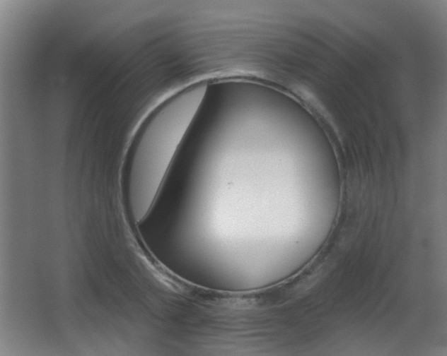 X0000062890789200601131015