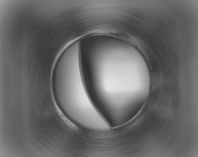 X0000062890795200601131015