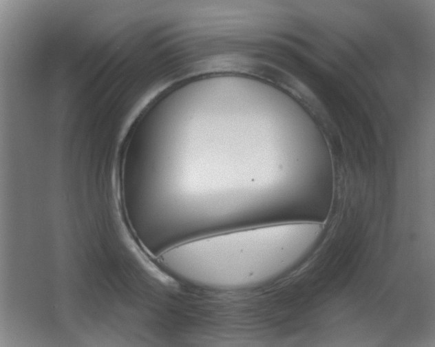 X0000062890796200601131015