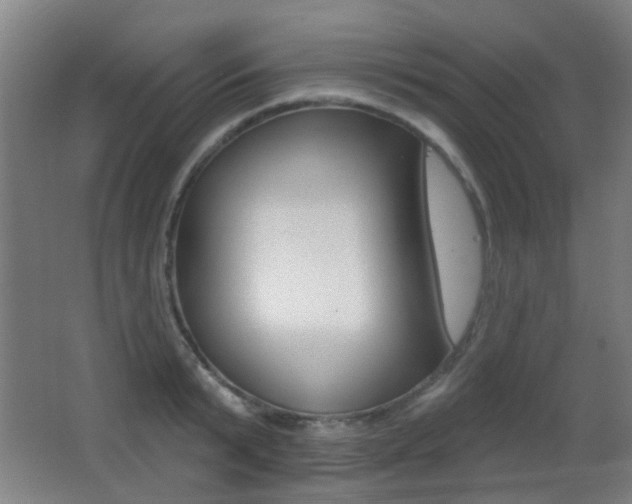 X0000062890799200601131015