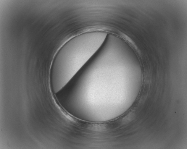 X0000062890802200601131015