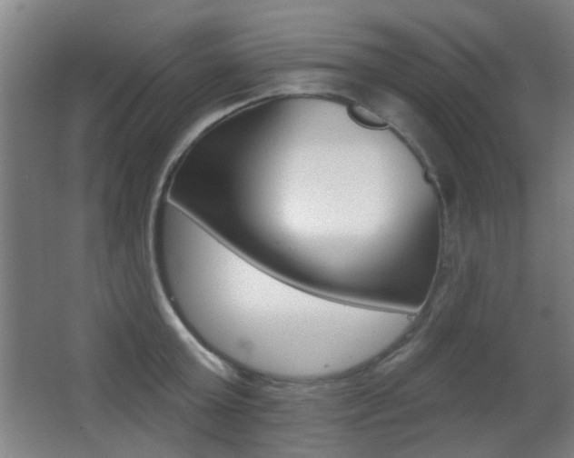 X0000062890803200601131015