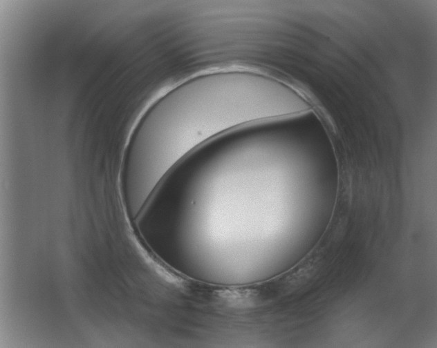X0000062890805200601131015